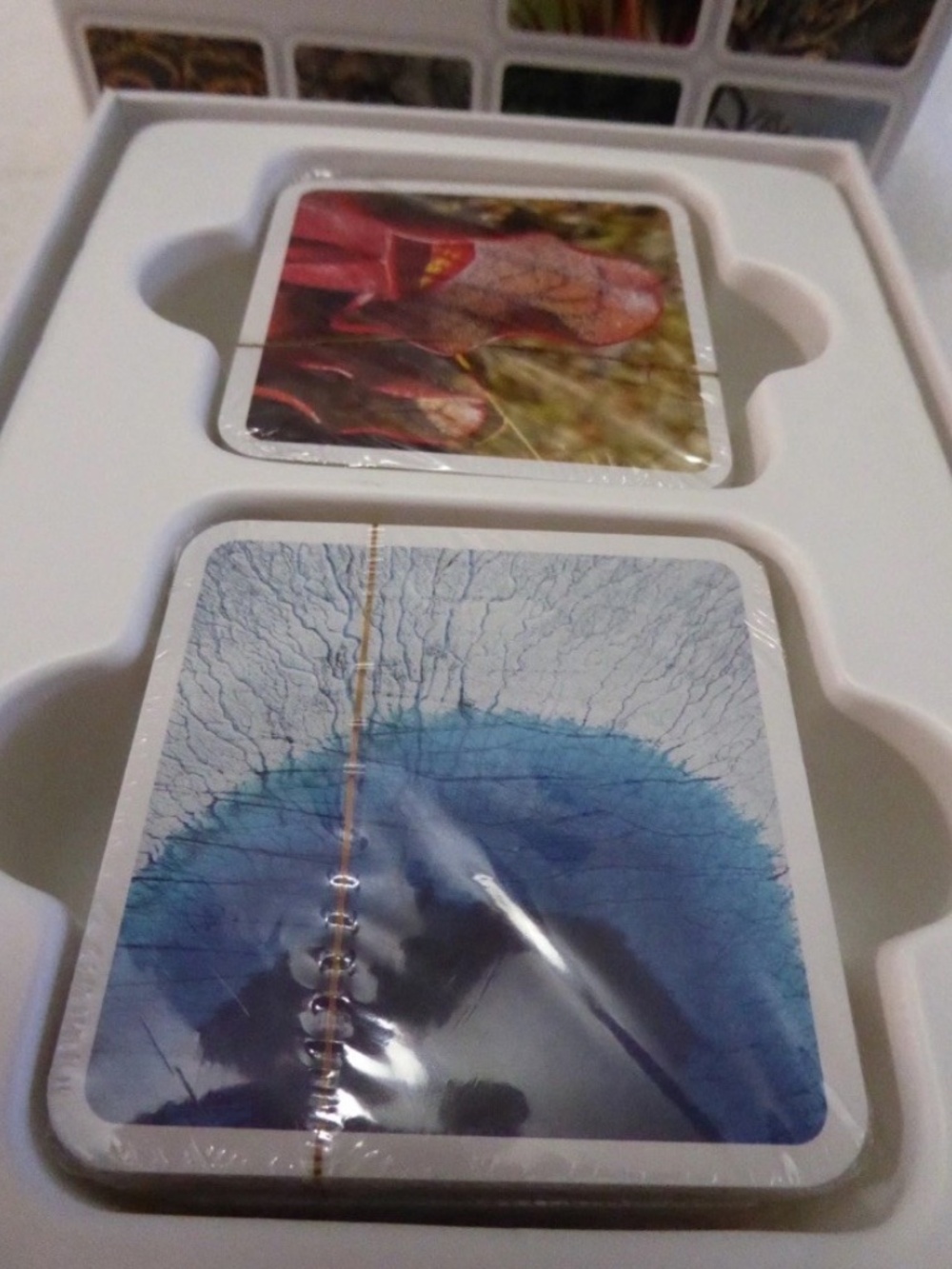 OUISI Nature Photo Cards -   Game of Visual Connection - Picture 4 of 8